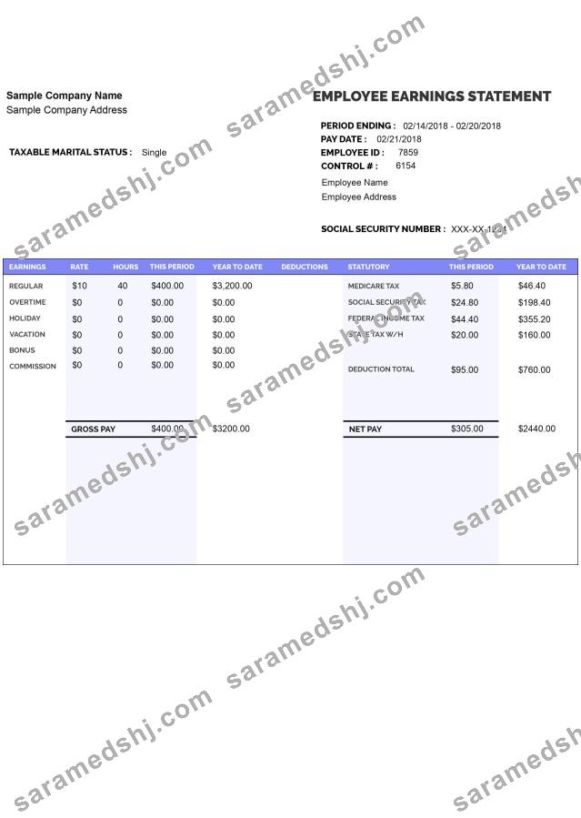 EMPLOYEE earnings statement template Word and PDF format version 8